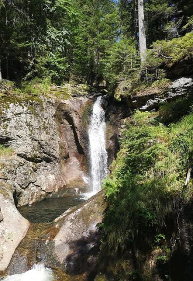 Ferienland Sonnenwald Fewo 46 Und Studio 50 In Schoefweg Bayerischer Wald Exterior photo