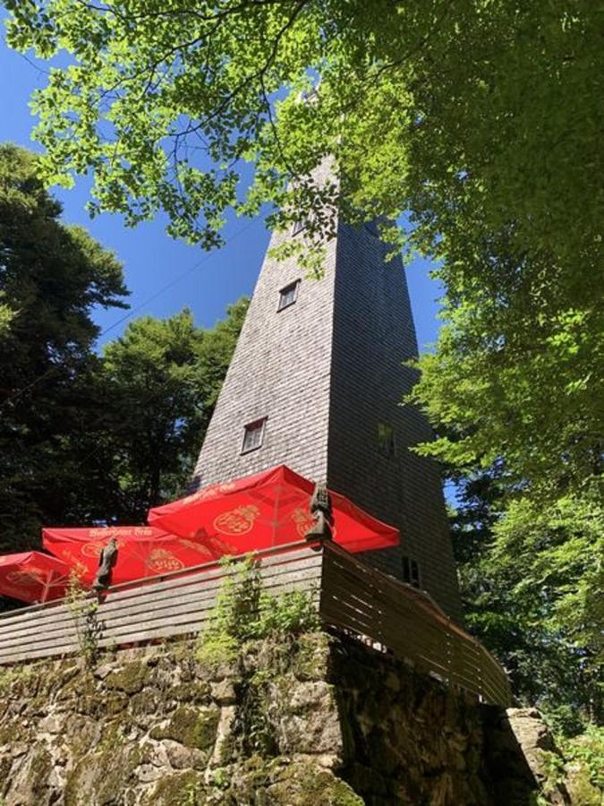 Ferienland Sonnenwald Fewo 46 Und Studio 50 In Schoefweg Bayerischer Wald Exterior photo